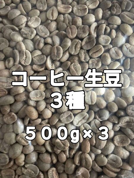 コーヒー生豆3種 合計1.5kg(コーヒー生豆 自家焙煎 コーヒー豆 コーヒー 珈琲)