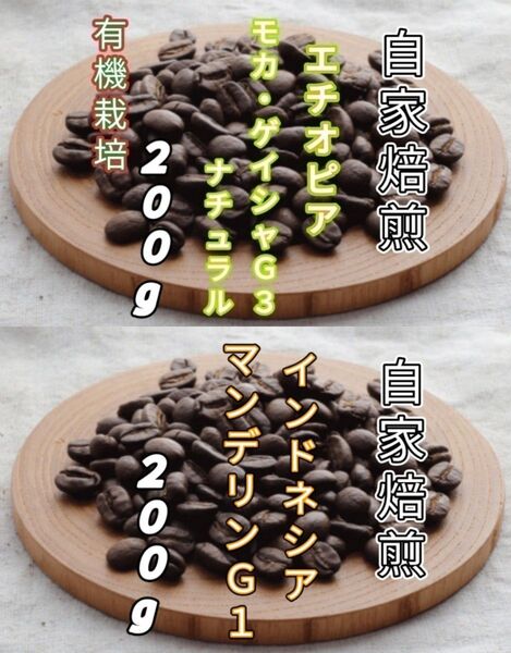 【エチオピア】モカ・ゲイシャG3【インドネシア】マンデリンG1 自家焙煎豆 各200g (自家焙煎 コーヒー豆 コーヒー)