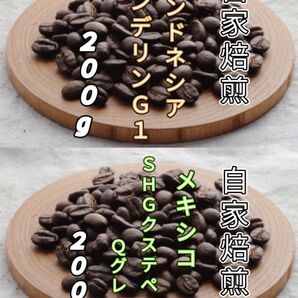 【インドネシア】マンデリンG1【メキシコ】SHGクステペック 各200g(自家焙煎 コーヒー豆 珈琲)