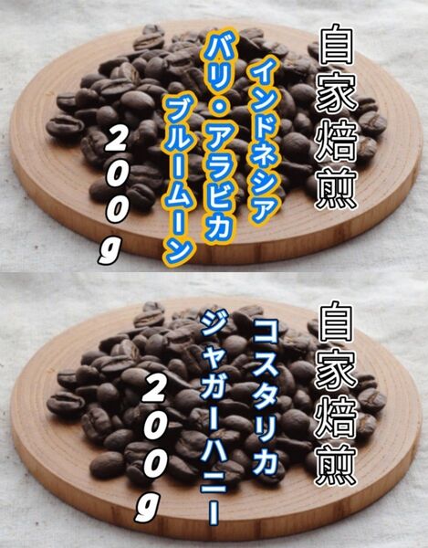 【インドネシア】バリ・アラビカ【コスタリカ】ジャガーハニー 自家焙煎豆 各200g (自家焙煎 コーヒー豆 コーヒー)