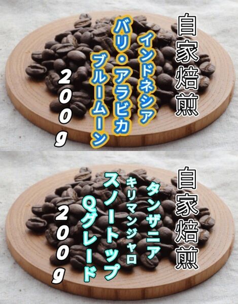 【インドネシア】バリ・アラビカ【タンザニア】AAスノートップ 自家焙煎豆 各200g (自家焙煎 コーヒー豆 コーヒー)