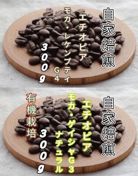 【エチオピア】モカ・レケンプティ【エチオピア】モカ・ゲイシャG3 自家焙煎豆 各300g (自家焙煎 コーヒー豆 コーヒー)