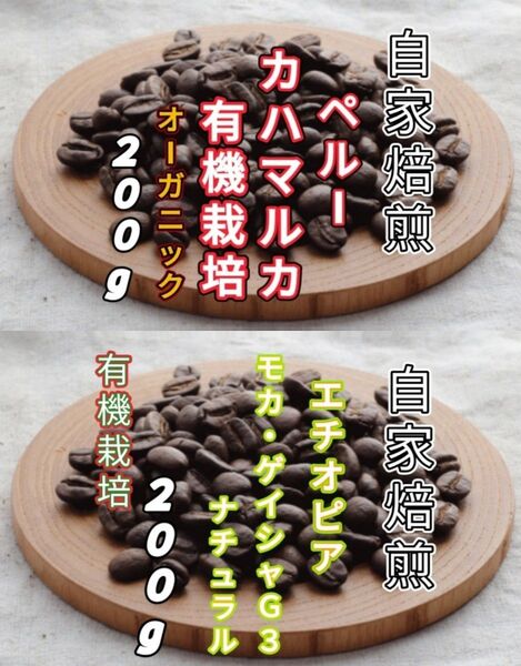 【ペルー】カハマルカ【エチオピア】モカ・ゲイシャG3 各200g(自家焙煎 コーヒー豆 珈琲 コーヒー)