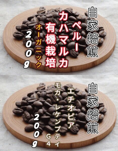 【ペルー】カハマルカ【エチオピア】モカ・レケンプティG4 各200g(自家焙煎 コーヒー豆 珈琲 コーヒー)
