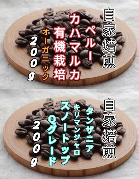 【ペルー】カハマルカ【タンザニア】AAスノートップ 各200g(自家焙煎 コーヒー豆 珈琲 コーヒー)