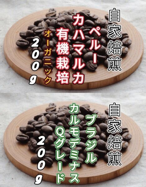 【ペルー】カハマルカ【ブラジル】No.2カルモデミナス 各200g(自家焙煎 コーヒー豆 珈琲 コーヒー)