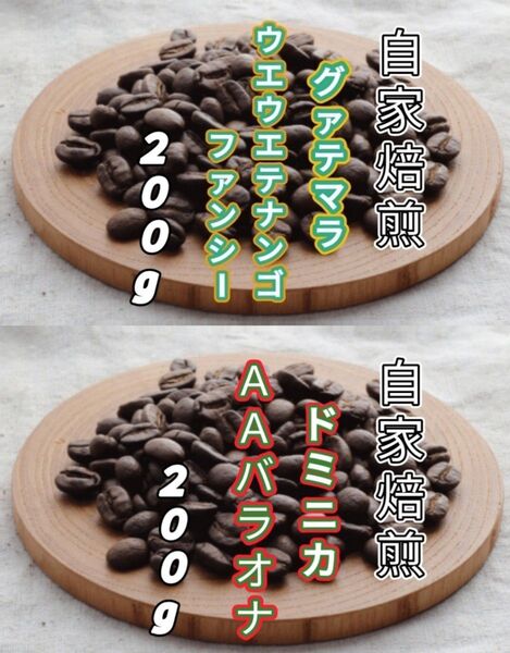 【グァテマラ】ウエウエテナンゴ【ドミニカ】AAバラオナ 各200g(自家焙煎 コーヒー豆 珈琲 コーヒー)