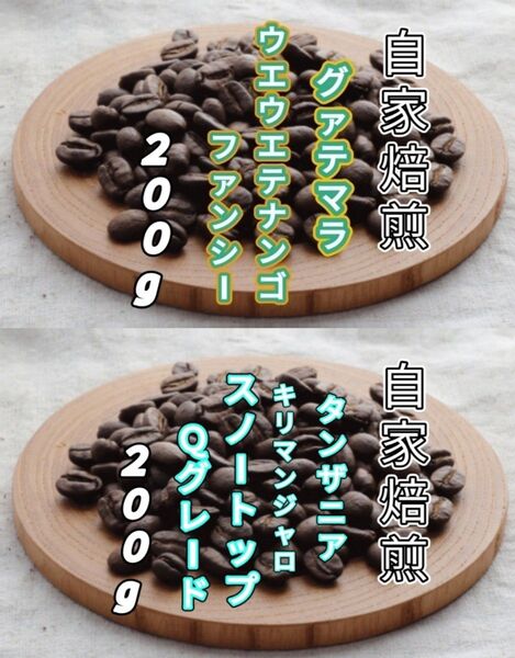 【グァテマラ】ウエウエテナンゴ【タンザニア】AAスノートップ 各200g(自家焙煎 コーヒー豆 珈琲 コーヒー)
