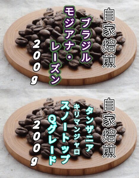 【ブラジル】モジアナ・レーズン【タンザニア】AAスノートップ 各200g(自家焙煎 コーヒー豆 珈琲 コーヒー)