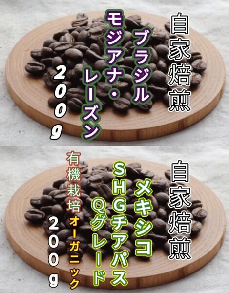 【ブラジル】モジアナ・レーズン【メキシコ】SHGチアパス 各200g(自家焙煎 コーヒー豆 珈琲 コーヒー)