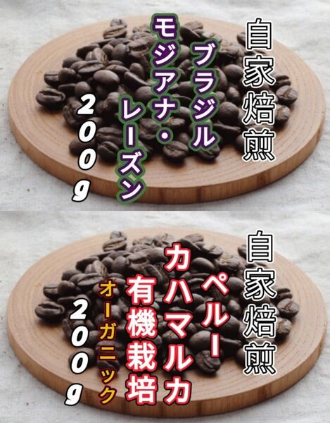 【ブラジル】モジアナ・レーズン【ペルー】カハマルカ 各200g(自家焙煎 コーヒー豆 珈琲 コーヒー)