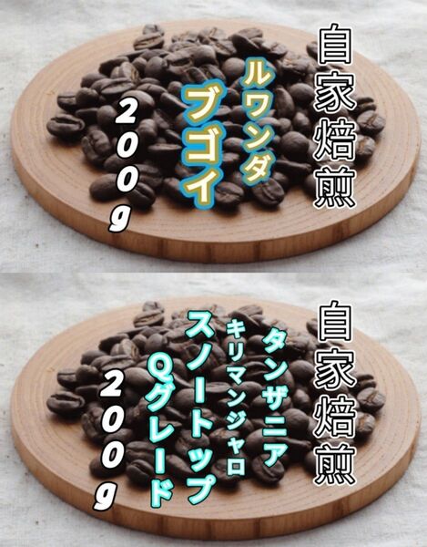 【ルワンダ】ブゴイ【タンザニア】スノートップ 各200g(自家焙煎 コーヒー豆 珈琲 コーヒー)
