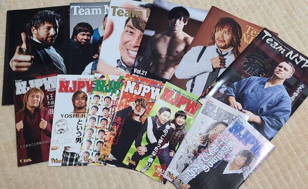 Team NJPW 新日本プロレスファンクラブ会報誌