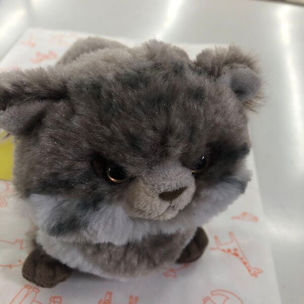マヌルネコぬいぐるみ 高さ13 全長25 幅10 珍しいマヌルネコのぬいぐるみです.可愛い。