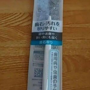 歯石取り セイワプロ