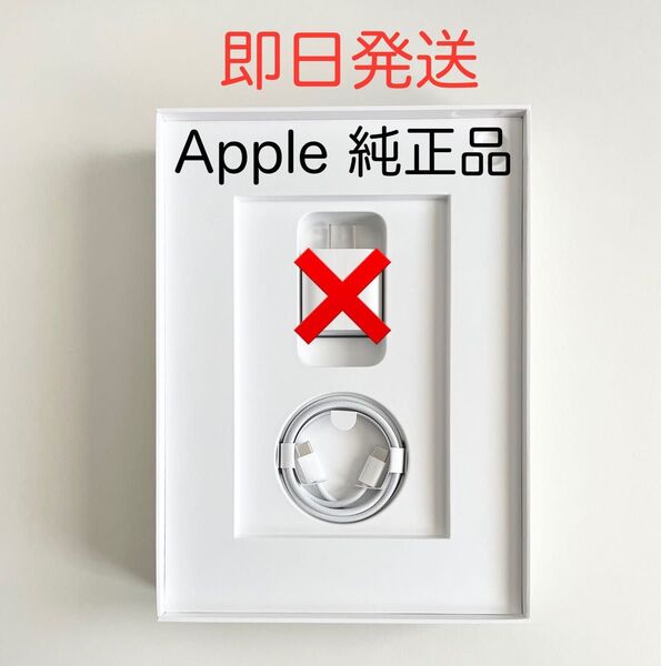 iPad A16 付属品 純正 USB-C to USB-C 充電ケーブル 1m 新品未使用 正規品 MW493FE/A