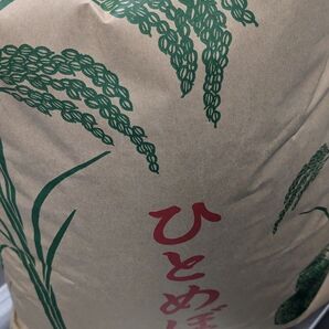 【高騰中】令和6年産 ひとめぼれ 30kg 宮城県産 うめぇ~米だっちゃ!!