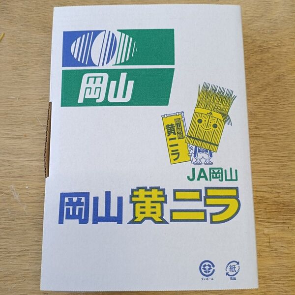 黄ニラ 10束(約500g)