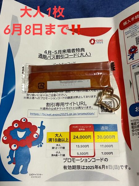 6月8日まで有効 大阪 関西万博 通期パス割引コード大人用1枚 大阪万博 万博