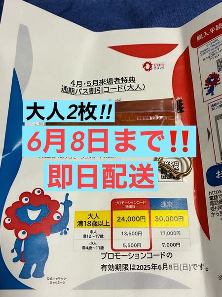 6月8日まで有効 大阪 関西万博 通期パス割引コード大人用2枚 万博 ミャクミャク みゃくみゃく