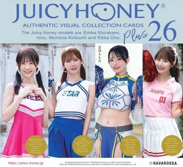 【最終値下げ】AVC ジューシーハニーコレクションカード PLUS #26 未開封 1box
