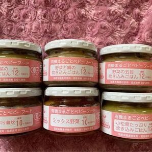 ofukuro 有機まるごとベビーフード 6個セット