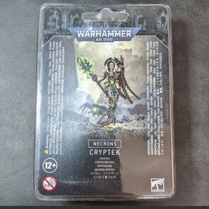 ネクロン クリプテック 49-22 ウォーハンマー 40000 Necron Cryptek Warhammer 40k