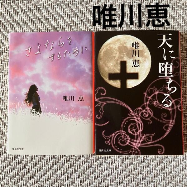 唯川恵 天に堕ちる さよならをするために 恋愛小説