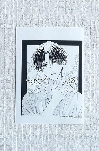 花とくちづけ 7 七都サマコ 特典のみ