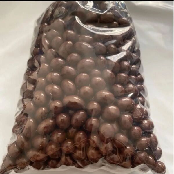 レーズンチョコ 400g