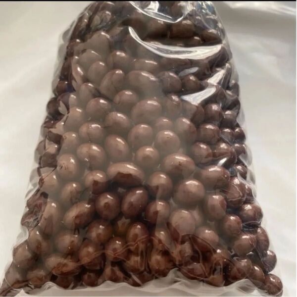 レーズンチョコ 400g
