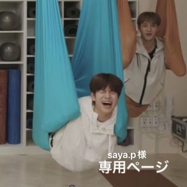 straykids スンミン オンラインクジ まとめ ステッカー 弁当箱 パピーム