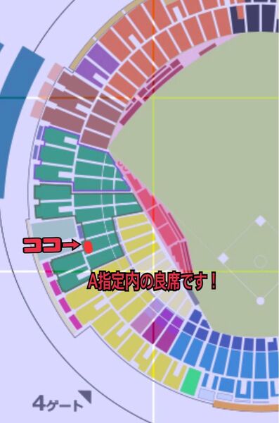 【4枚】交流戦6/10(火)ソフトバンクホークスvs巨人 A指定席3塁側4枚3☆列20周年記念デー WANIMAライブ