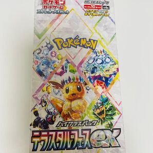テラスタルフェスexBox