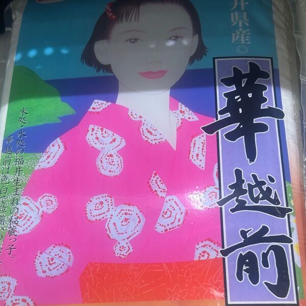 水晶米 華越前 10kg 福井県産 6年産
