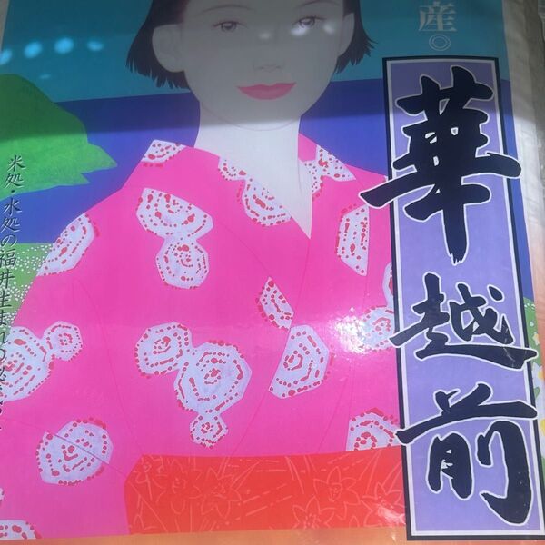 水晶米 福井県産 華越前 10kg