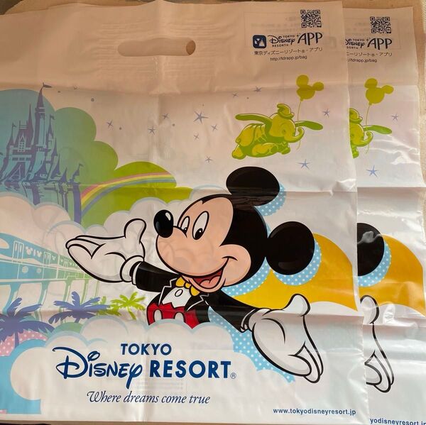 ショッピングバッグ ミッキー ショッパー ディズニー 東京ディズニーランド TDL 2枚