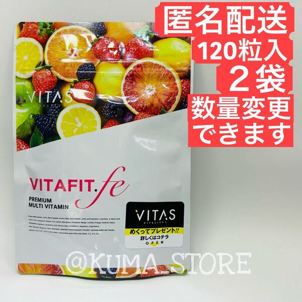 2袋 VITAS バイタス VITA FIT.fe ビタフィット 葉酸 鉄分 ブドウ種子エキス マルチビタミン 120粒 30日分