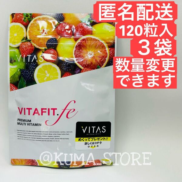 3袋 VITAS バイタス VITA FIT.fe ビタフィット 葉酸 鉄分 ブドウ種子エキス マルチビタミン 120粒 30日分