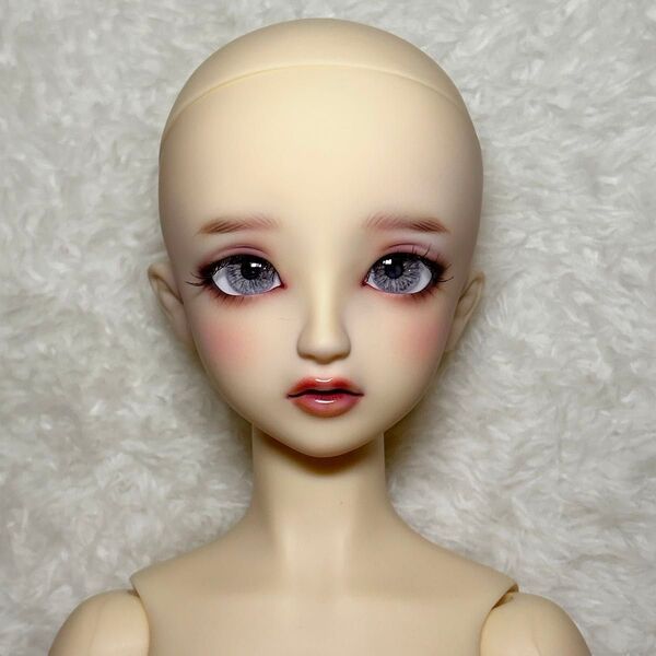 sd スタンダードモデル ちよ スーパードルフィー