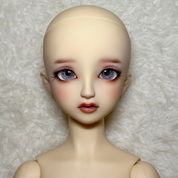 sd スタンダードモデル ちよ スーパードルフィー