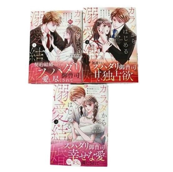 カラダからはじめる溺愛結婚1~3【処分予定】