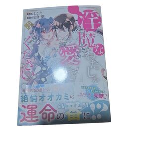淫魔な私を愛して下さい3