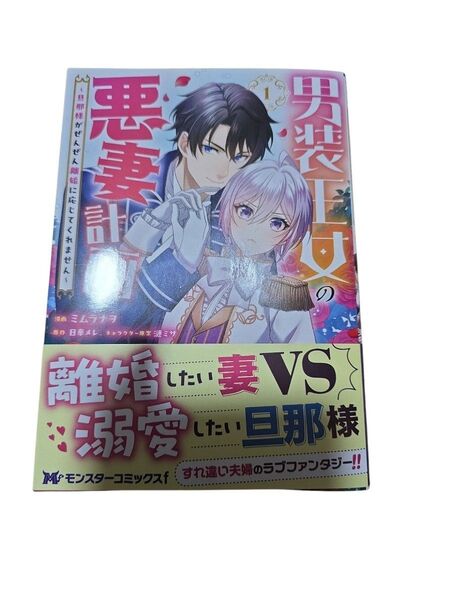 男装王女の悪妻