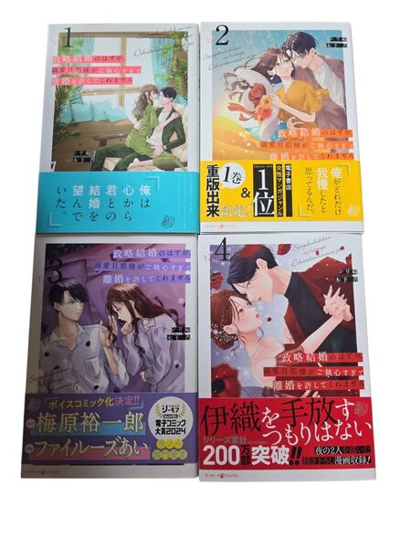 政略結婚のはずが、溺愛旦那様がご執心すぎて離婚を許してくれません1~4