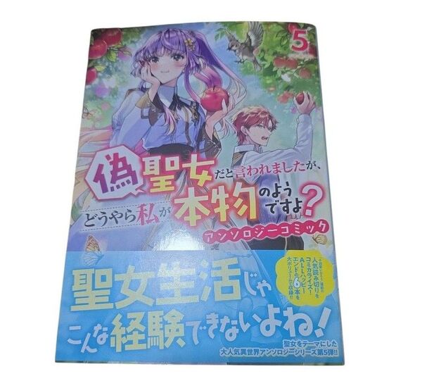 偽聖女だと言われましたが、どうやら【処分予定】