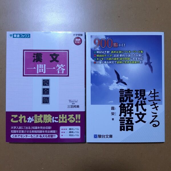漢文一問一答 完全版 (東進ブックス 大学受験高速マスターシリーズ) 三羽邦美/著