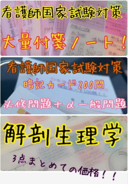 【セール価格】まとめ価格!看護師国家試験対策 暗記カード 解剖生理 付箋ノート