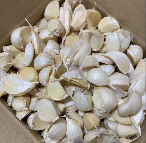 バラにんにく700g 青森県産にんにく 国産にんにく ホワイト六片種にんにく 大中小粒混合 厳選にんにく
