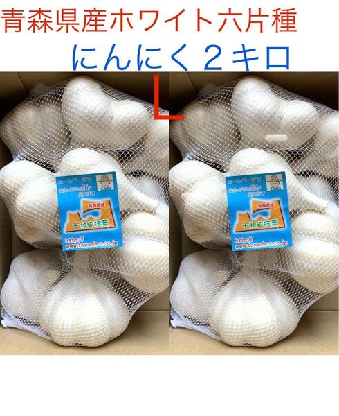 訳ありにんにく2キロ 青森 にんにく ホワイト六片種にんにく 国産にんにく にんにく ホワイト六片 青森県産 にんにく